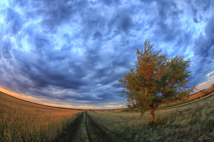 Летняя фантазия