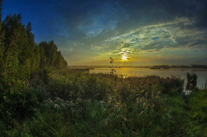 Пейзажи Подмосковья