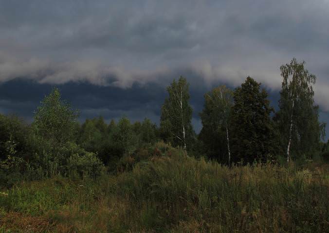 Перед грозой