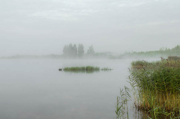 Пейзаж
