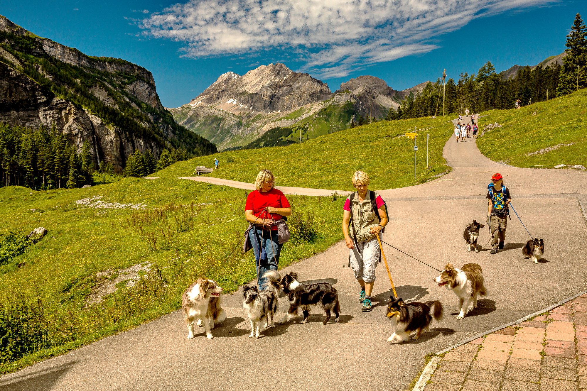 The Alps 2014-Switzerland-Kandersteg 6