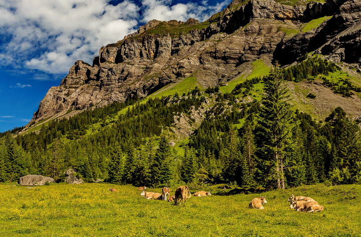 The Alps Switzerland Kandersteg 11