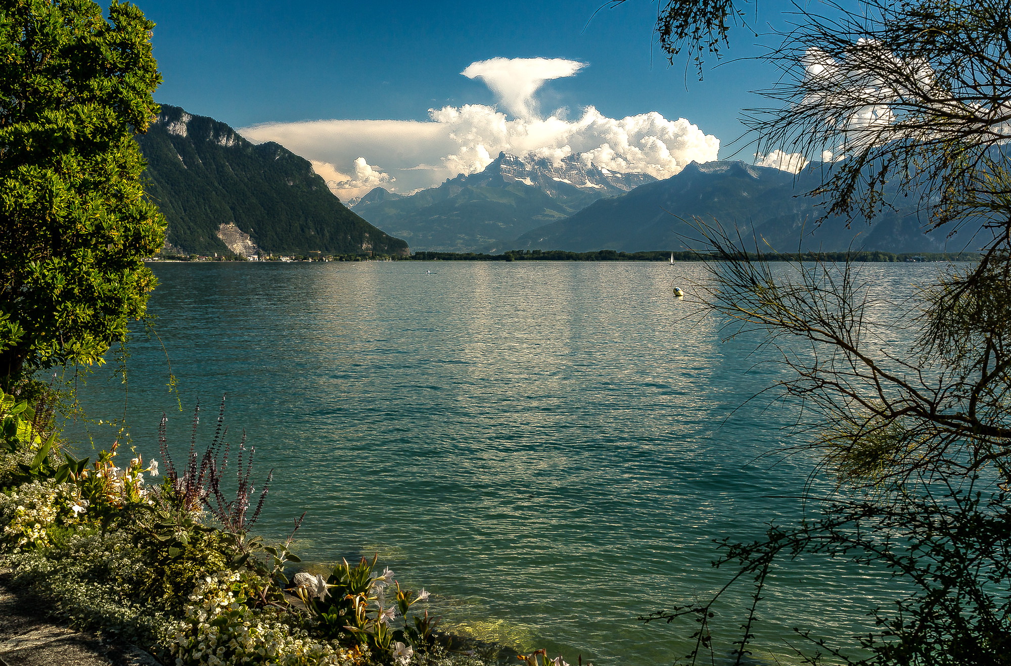 The Alps 2014 Switzerland Montreux