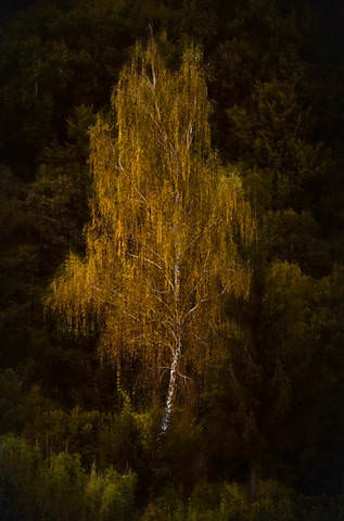 _DSC7655