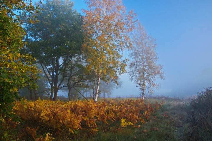 У нас осень