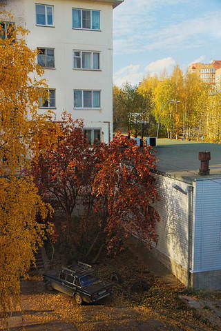 Осеннее