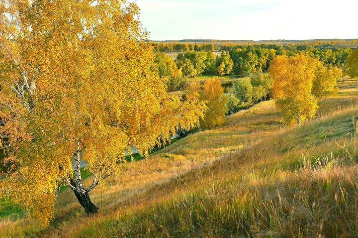 Осень на закате дня