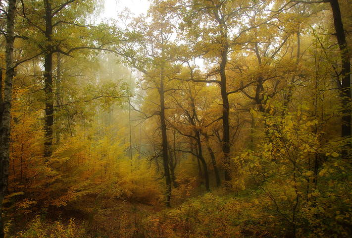 про золото