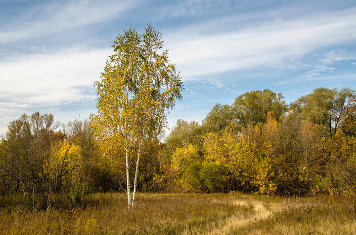 Осень