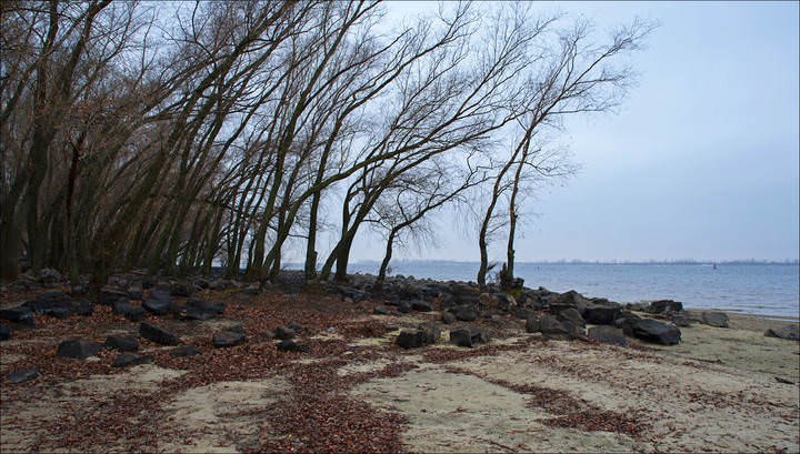 Осенняя, пасмурная