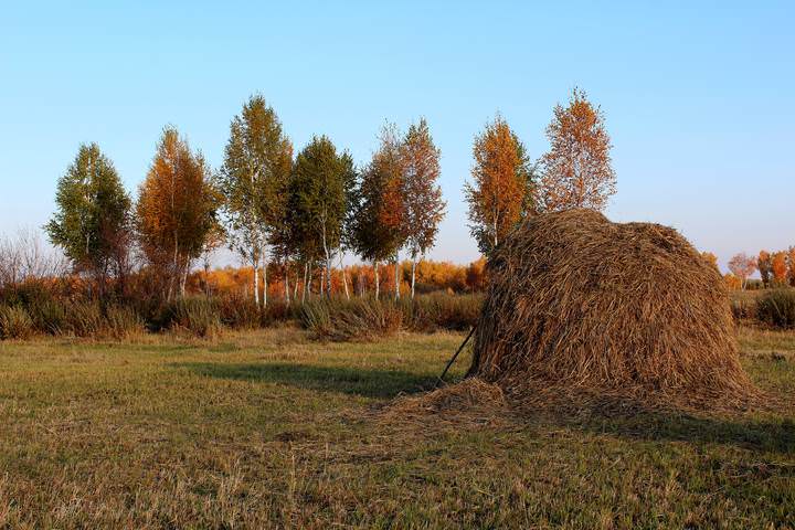 Осенний этюд.