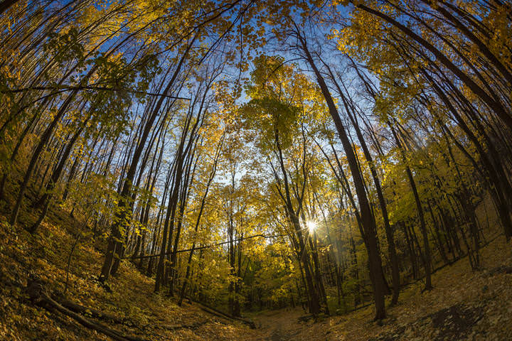 # 1