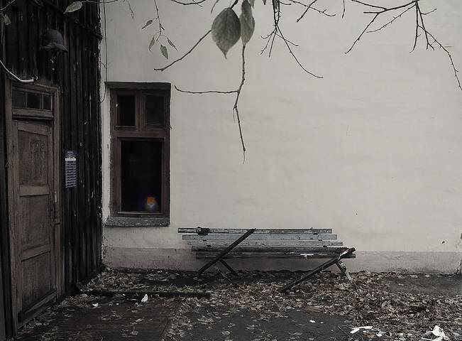 Осенний дворик с котом.