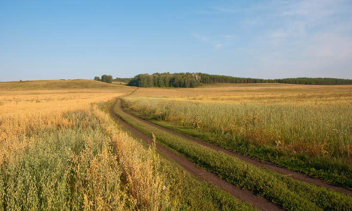 Дорога