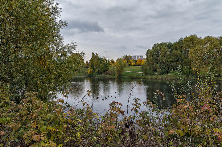 Городской пейзаж