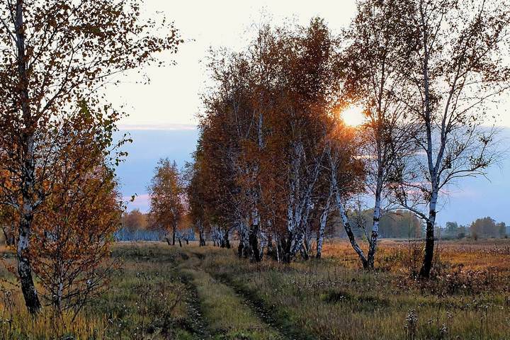 Осенней вечер.