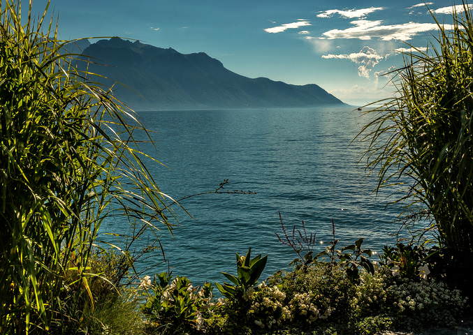 The Alps 2014 Switzerland Montreux 4