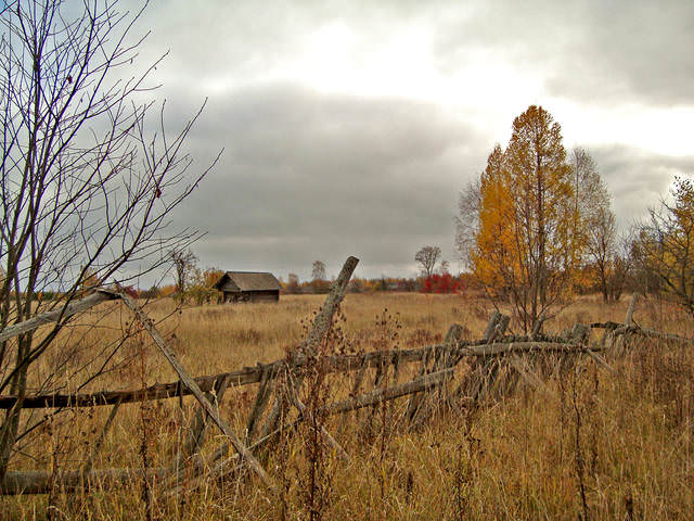 Грусть.