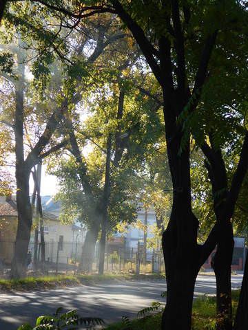 Лучи осеннего солнца