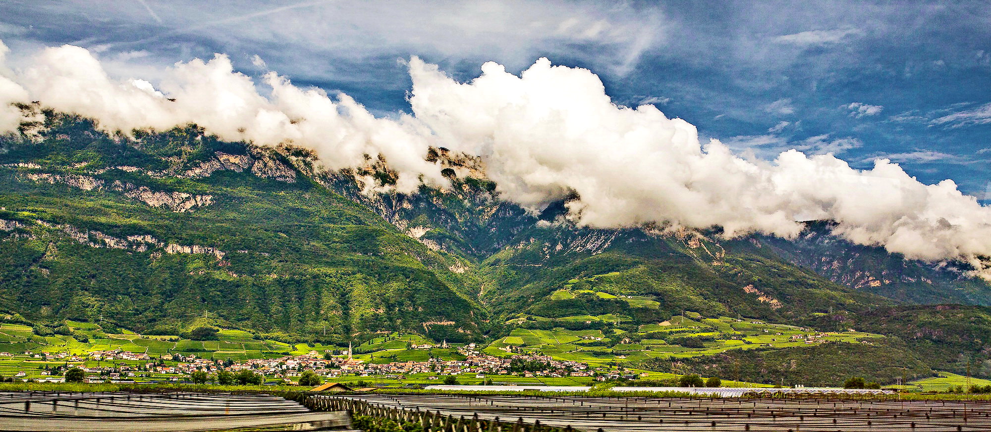 The Alps 2014 Italy Bardolino 2
