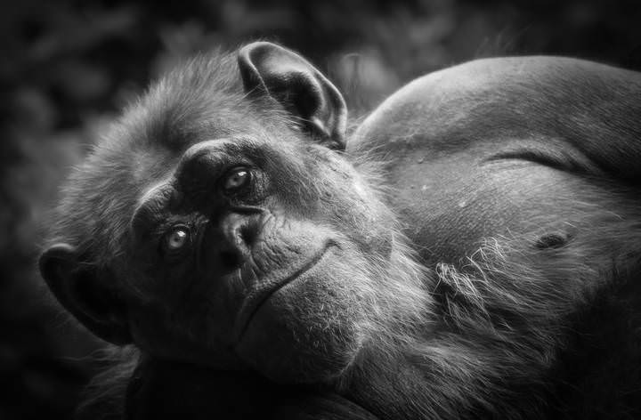  не ПОХОЖИЙ НА ТЕБЯ