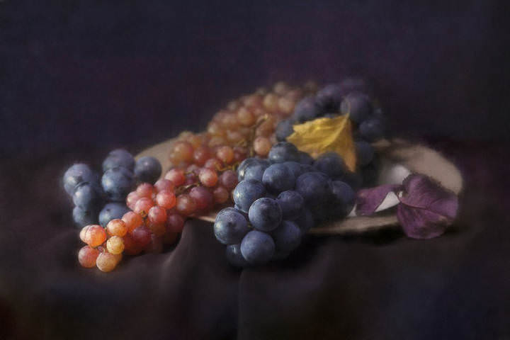 виноград