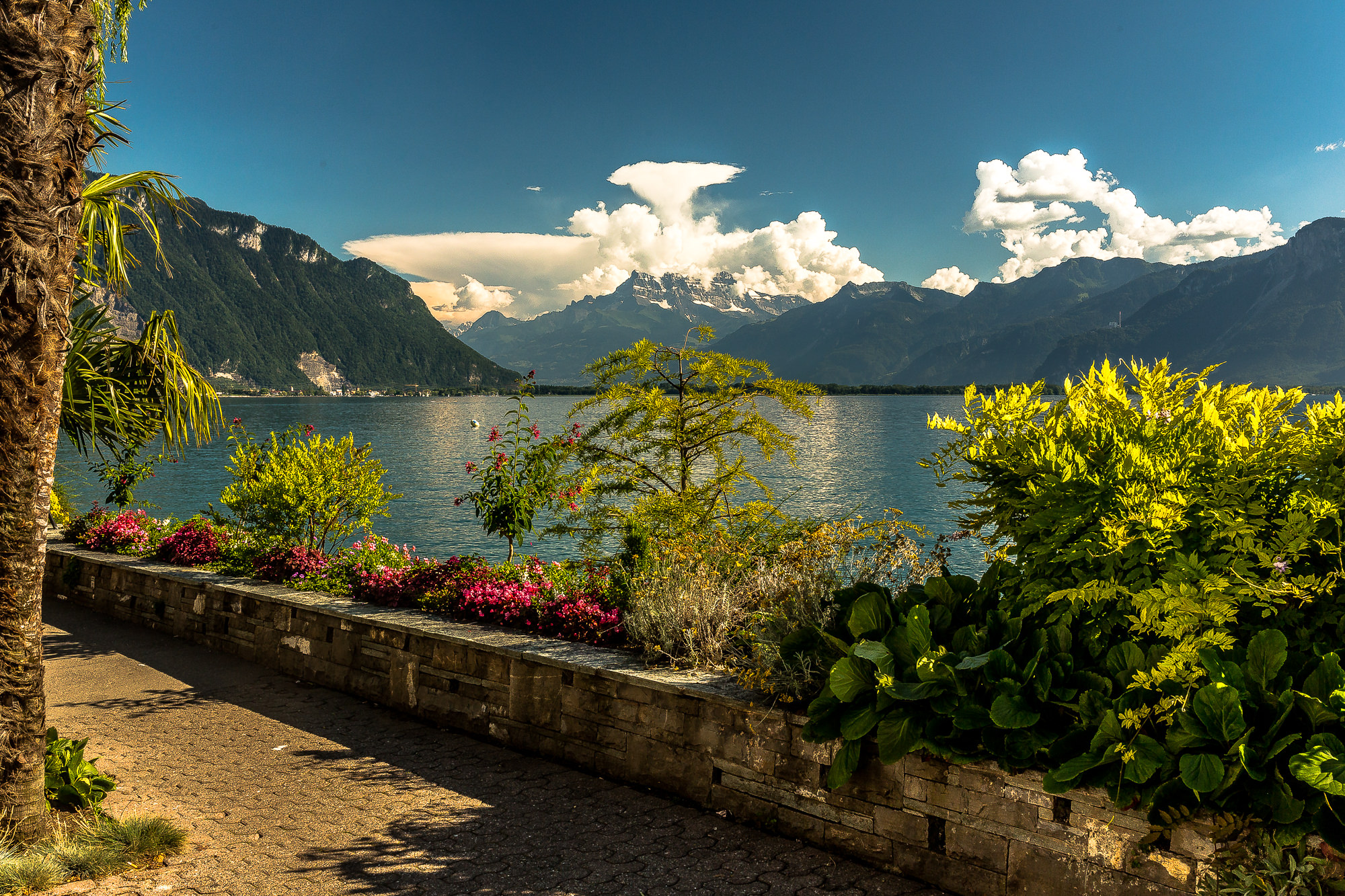 The Alps 2014 Switzerland Montreux 5