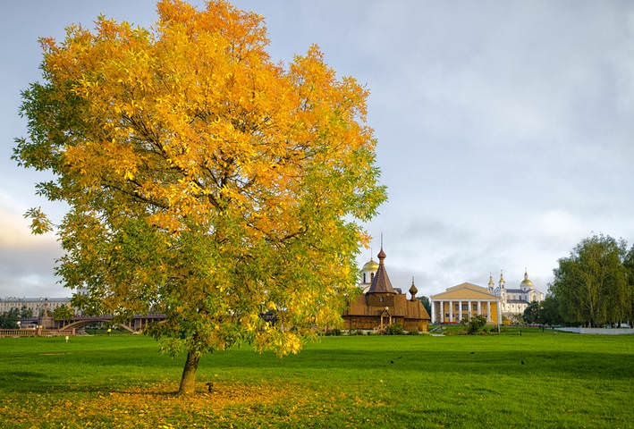 Витебская осень