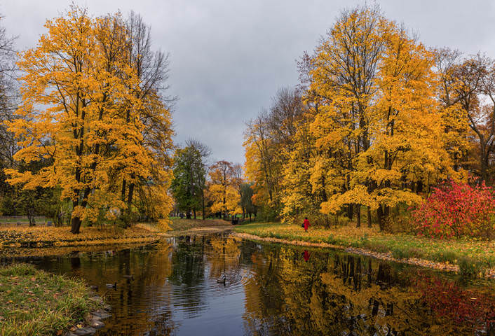 в осенних красках 
