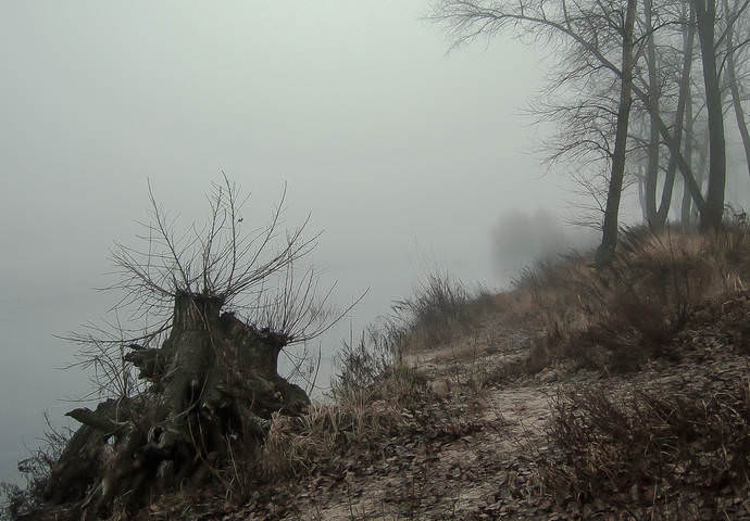 У реки