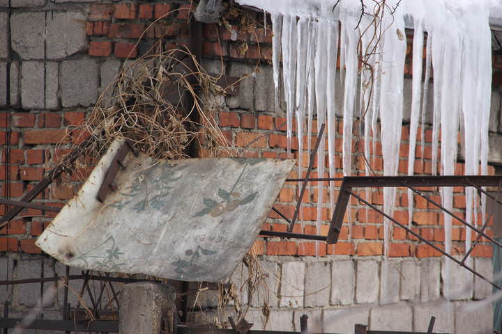 Партитура