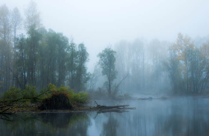 Водный дух