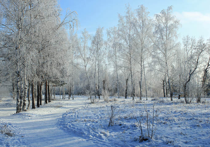 зимний парк
