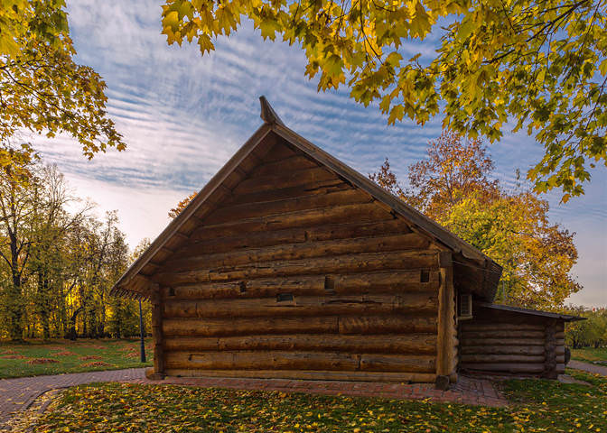  в Коломенском