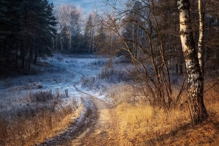 Зима близко