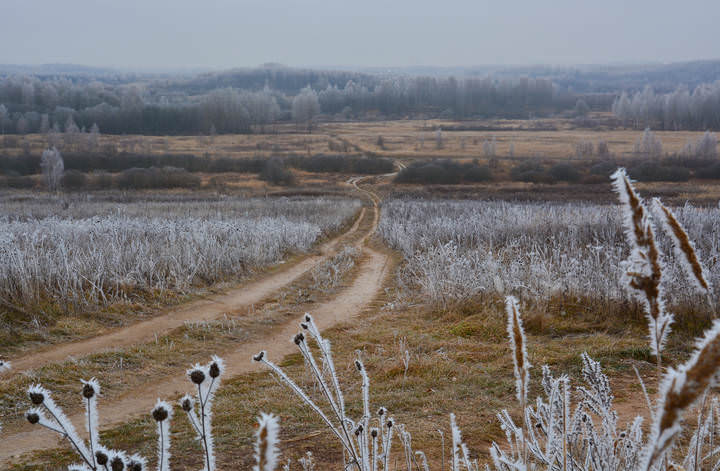 мороз есть, снега нет