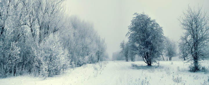 Снежное безмолвие
