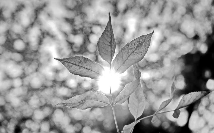 _DSC5498