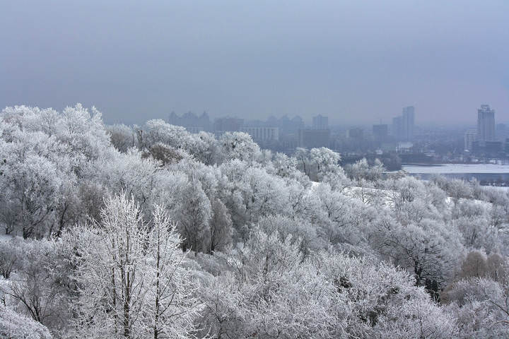 Зимний пейзаж