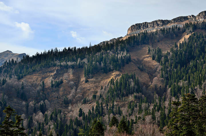 Вечер в горах