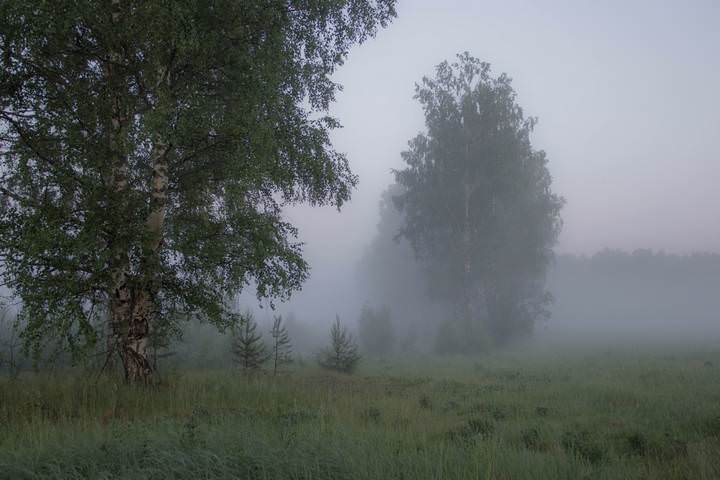 Утро..