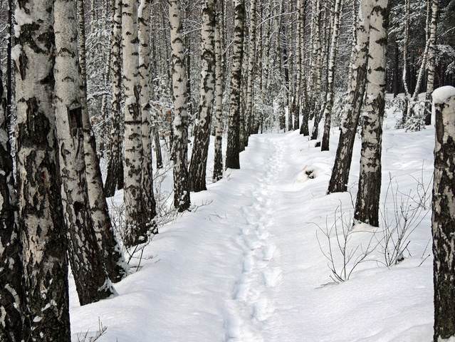 Серия "Зимние зарисовки"-3