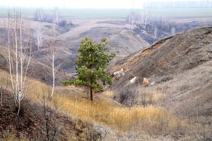 _MG_1196а