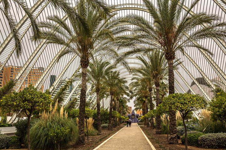 Spain 2014 Valencia 1