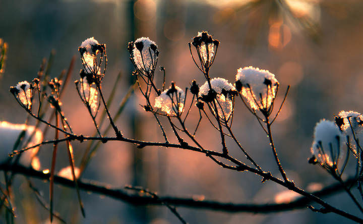 Фонарики