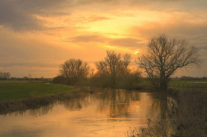 Golden evening