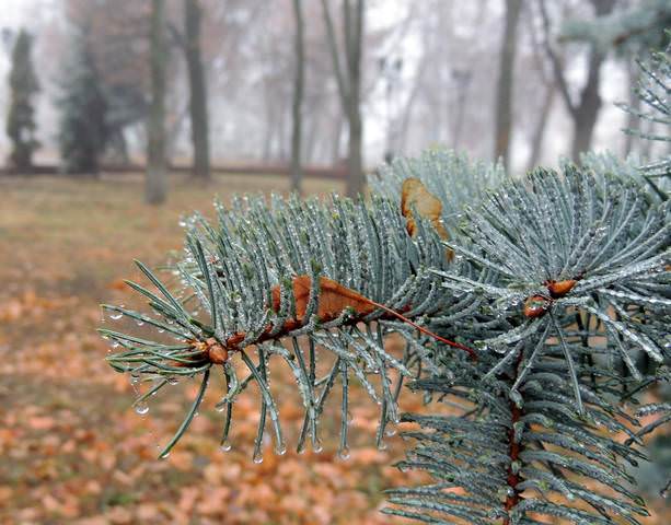 Осень