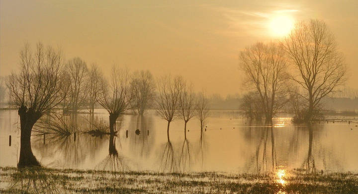 Flood.