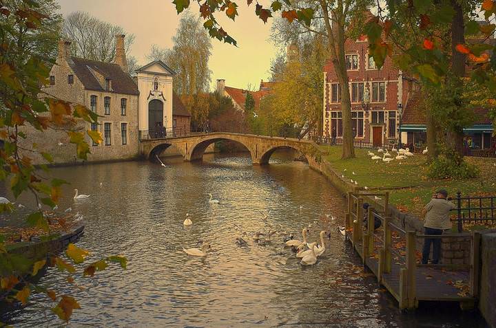 Autumn in Bruges.