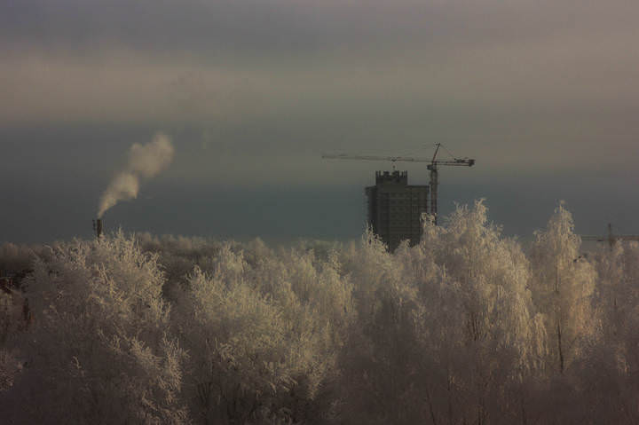 Декабрьский денёк